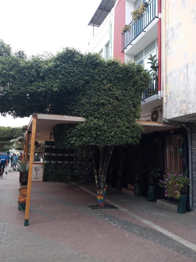 פראייה Christian Place מראה חיצוני תמונה
